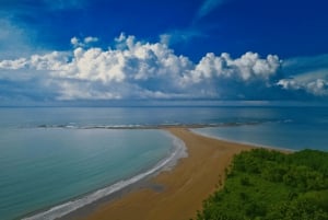 Uvita: Privat omvisning - Dovendyrsobservasjon i Costa Rica