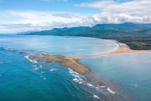 Uvita: Privat omvisning - Dovendyrsobservasjon i Costa Rica