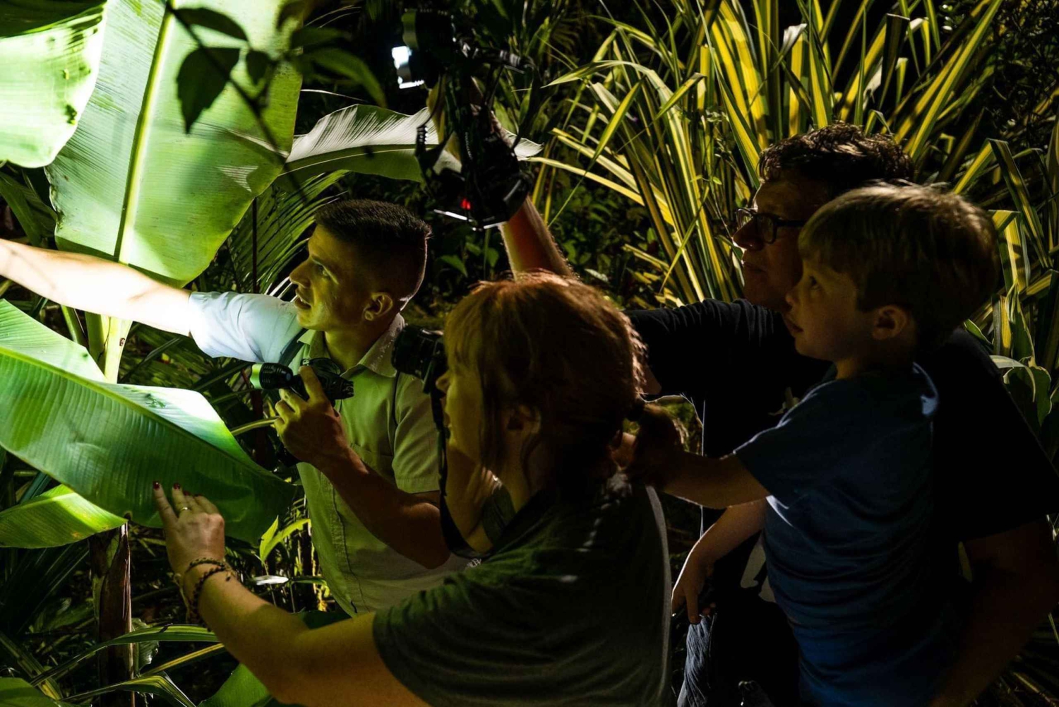 Uvita: Privat kvällstur med natur- och djurliv Tropisk skog