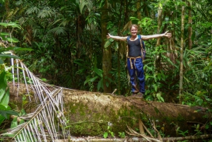 Uvita: Privat kvällstur med natur- och djurliv Tropisk skog