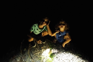 Uvita: Privat kvällstur med natur- och djurliv Tropisk skog