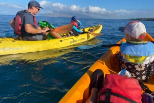 Uvita: Private Ocean Kayak & Snorkel Marino Ballena N. Park