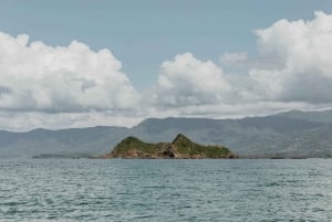 Uvita: Dovendyrsstien - den bedste dovendyrstur i Costa Rica