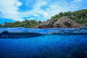Uvita: Snorkling ved Caño Island - en uforglemmelig oplevelse