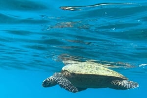 Uvita: Snorkeling in Caño Island