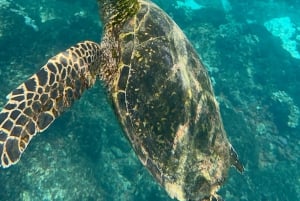 Uvita: Snorkeling in Caño Island