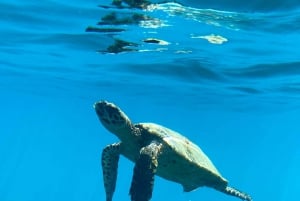 Uvita: Snorkeling in Caño Island