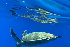 Uvita: Snorkeling in Caño Island