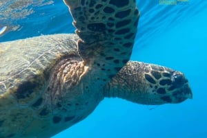 Uvita: Snorkeling in Caño Island