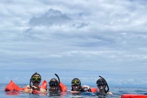 Uvita: Snorkling på Caño Island