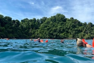 Uvita: Snorkling på Caño Island