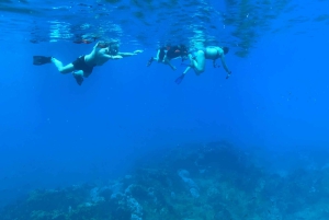 Uvita, snorkeltour in biologisch reservaat Caño eiland