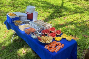 Uvita, snorkeltour in biologisch reservaat Caño eiland