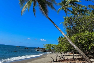 Uvita, snorkeltour in biologisch reservaat Caño eiland