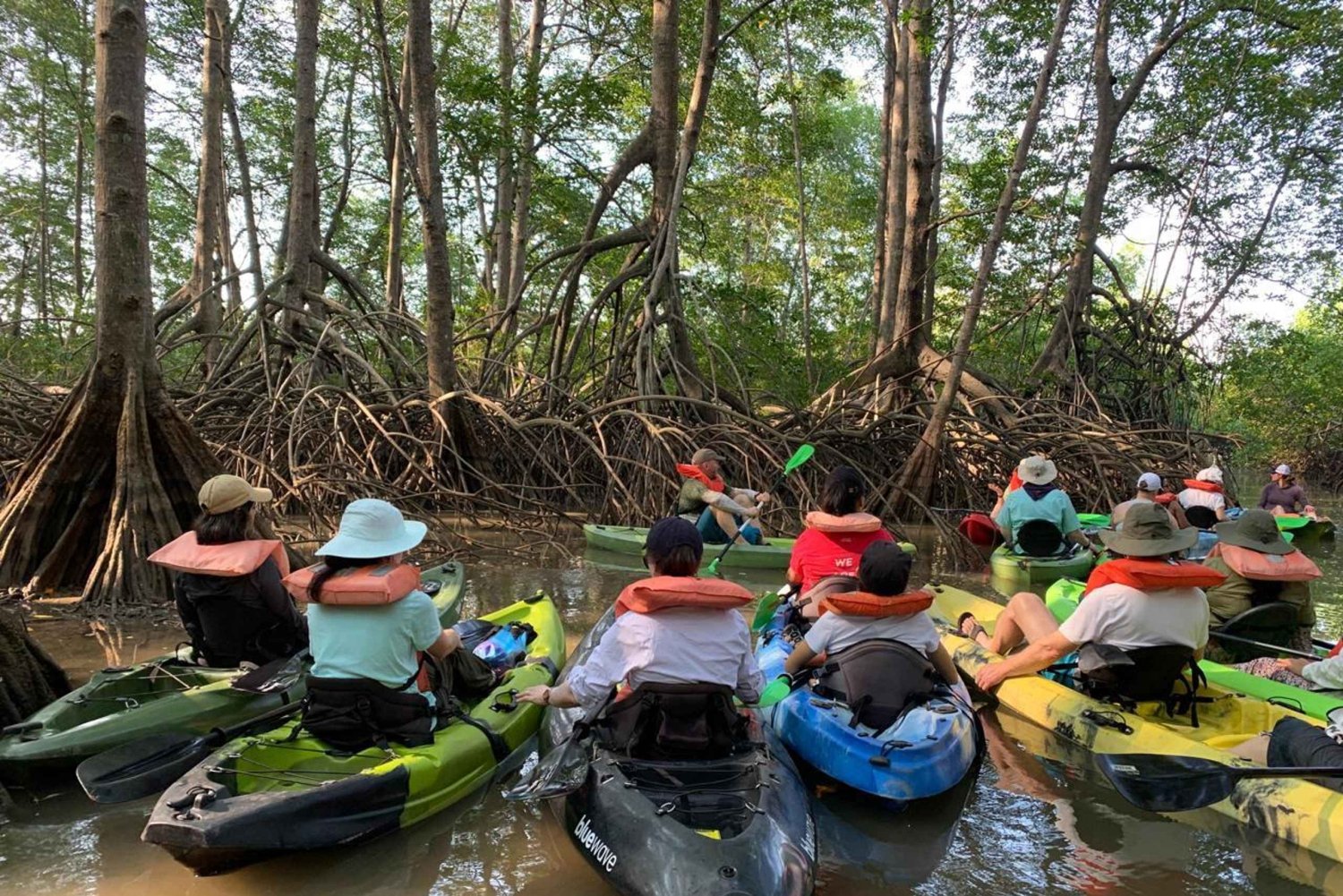 Uvita: Terraba-Sierpe Mangrove Tour with Boat/Kayak