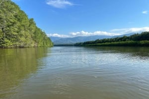 Sierpe: Terraba-Sierpe Mangrove-tur med båd/kajak