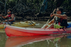 Uvita: CostaRica: Terraba Sierpe Wildlife Mangrove Kayak Tour CostaRica