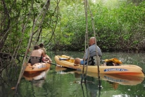 Uvita: Terraba Sierpe Wildlife Mangrove Kajak Tur CostaRica