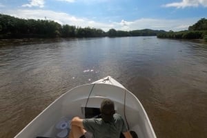 Uvita: Terraba Sierpe Wildlife Mangrove Kayak Tour CostaRica