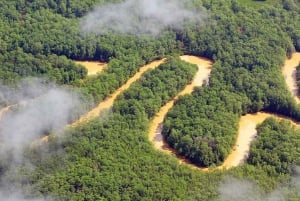 Uvita: Terraba Sierpe Wildlife Mangrove Kayak Tour CostaRica