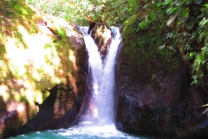 Uvita : Aventure et cascade