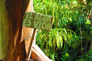 Uvita : Aventure et cascade