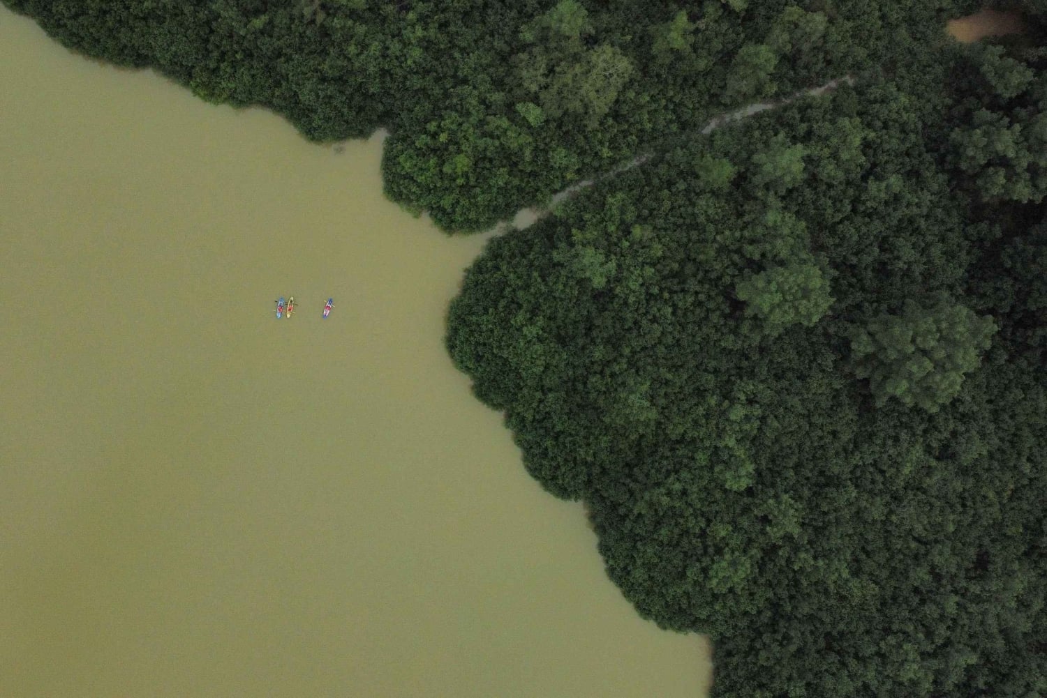 Uvita: tur til fossefall og mangrover