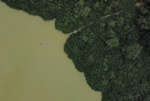 Uvita: tur til fossefall og mangrover