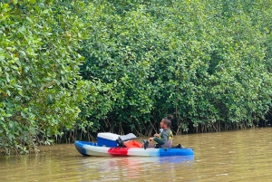 Uvita: tur til fossefall og mangrover