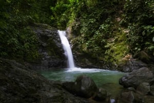Cachoeira Uvita e experiência de surf Descubra Uvita Costa Rica