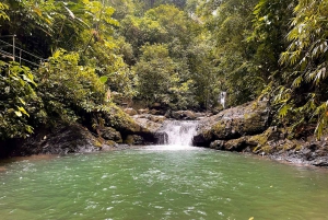 Cascada de Uvita y Experiencia de Surf Descubre Uvita Costa Rica