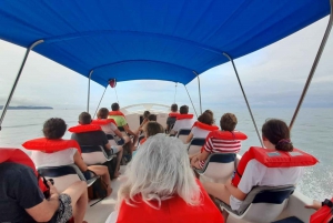 Uvita: Whale Watching Boat Trip with Drinks and Snacks