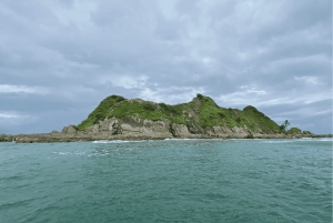 Uvita: Whale Watching im Marino Ballena National Park
