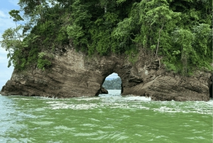 Uvita: Whale Watching im Marino Ballena National Park