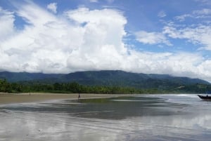 Uvita: Excursión de Avistamiento de Ballenas en el Parque Nacional Marino Ballena