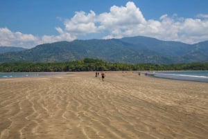 Uvita: Excursión de Avistamiento de Ballenas en el Parque Nacional Marino Ballena