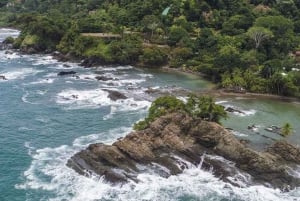 Uvita: Excursión de Avistamiento de Ballenas en el Parque Nacional Marino Ballena