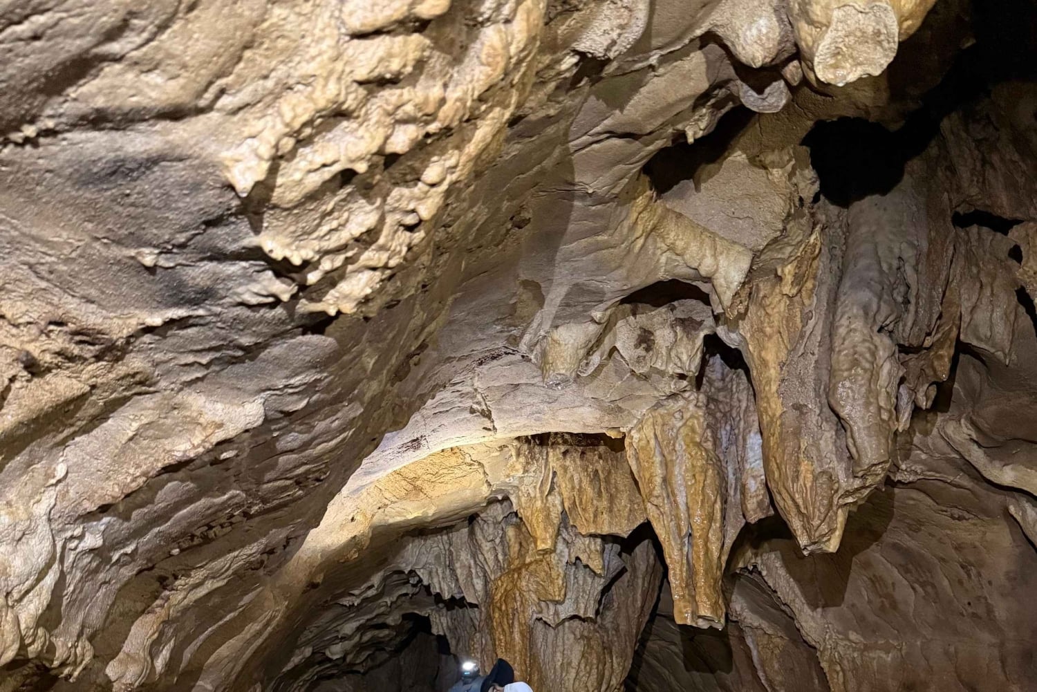 Opastettu kierros Venadon luoliin