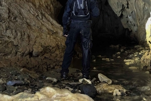 Opastettu kierros Venadon luoliin