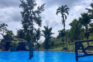 Opastettu kierros Venadon luoliin