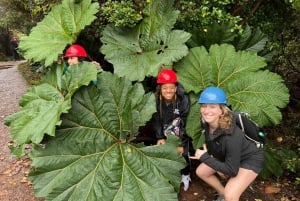 Volcan Poas: Volcan Poas National Park Flora & Fauna Tour