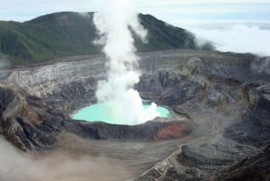 Volcan Poas: Volcan Poas National Park Flora & Fauna Tour