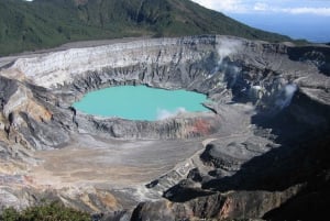 Volcan Poas: Volcan Poas National Park Flora & Fauna Tour