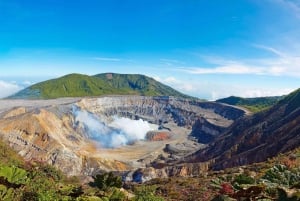 Volcan Poas: Volcan Poas National Park Flora & Fauna Tour
