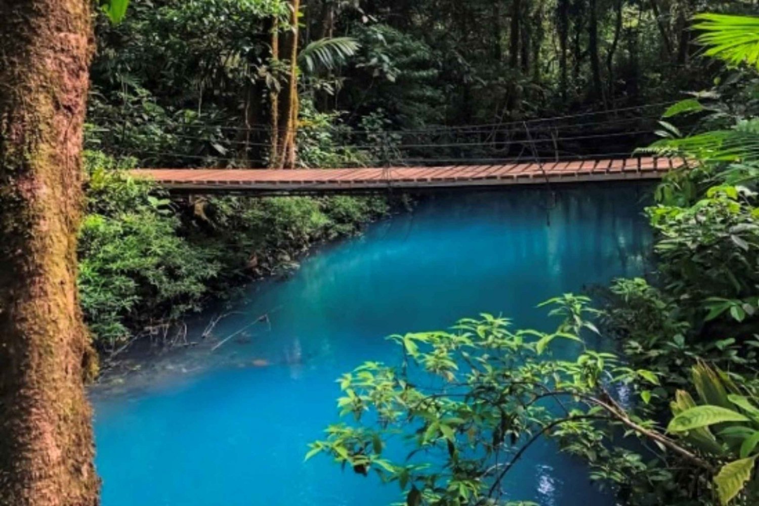 La Fortuna: Rio Celeste, sengångare, kaffe och choklad