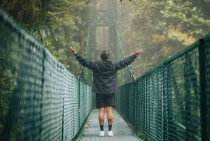 Caminata en los puentes colgantes de Selvatura Park