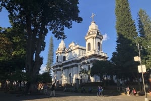 Walking Tour in the Alajuela