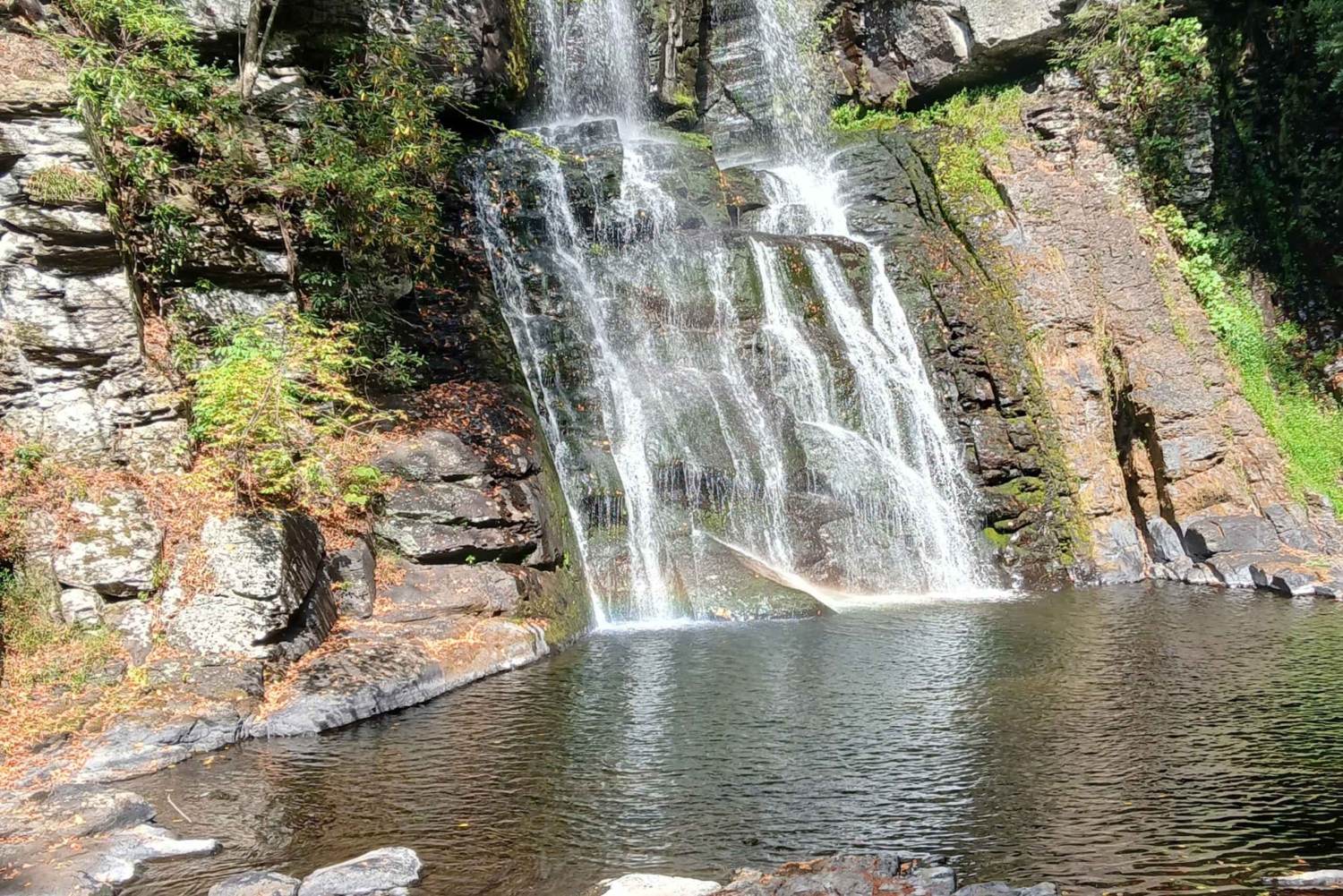 Waterfall with coffee, pineapple + coconut