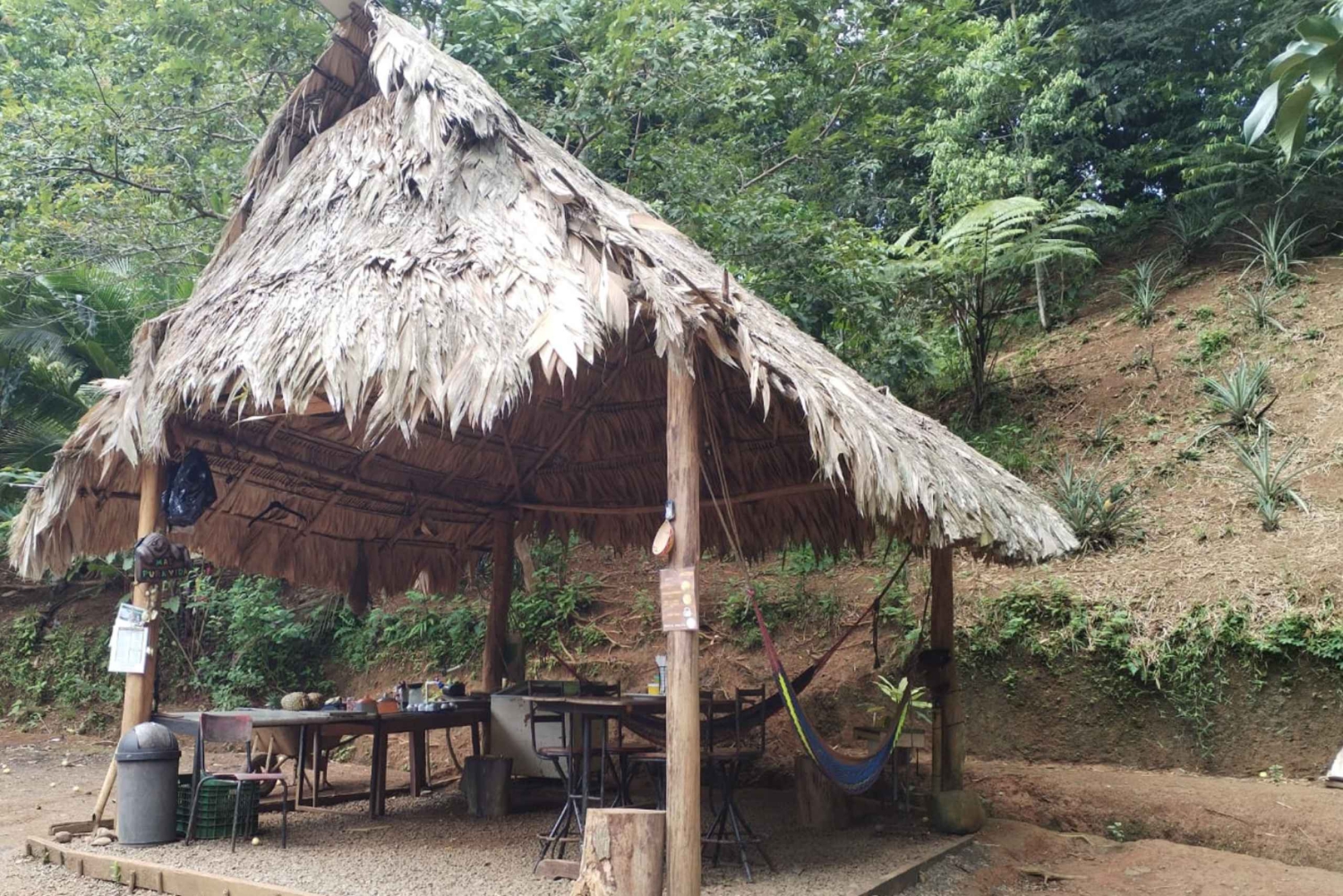 Waterfall with coffee, pineapple + coconut