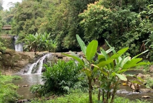 Waterfall with coffee, pineapple + coconut